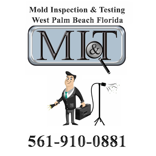  Profile Photos of Mold Inspection & Testing West Palm Beach 521 31st St. - Photo 1 of 1