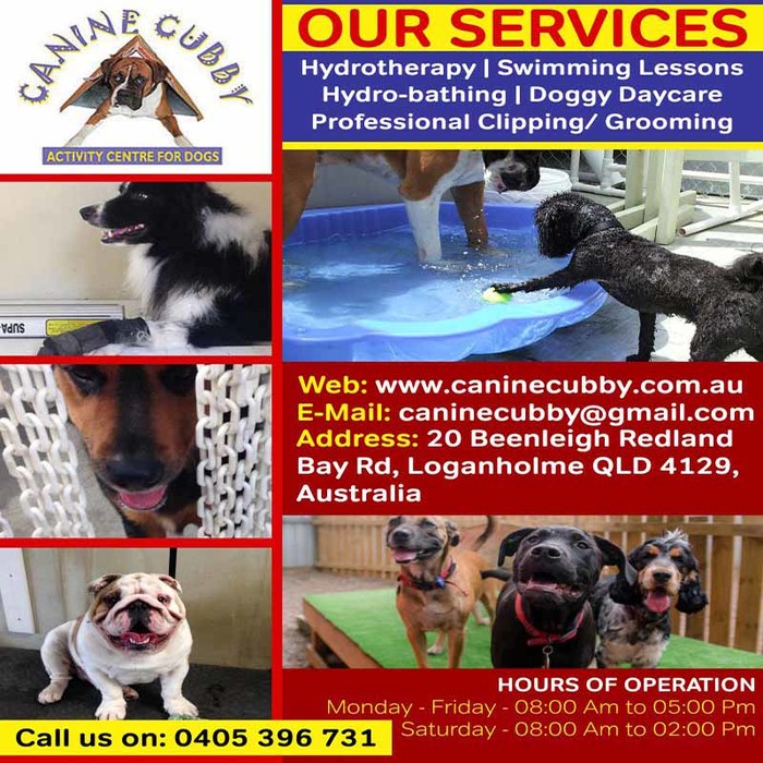  Profile Photos of Clipping for Dogs in Brisbane | Canine Cubby - Activity Centre for Dog 20 Beenleigh Redland Bay Rd - Photo 1 of 1
