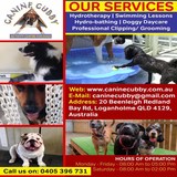 Clipping for Dogs in Brisbane | Canine Cubby - Activity Centre for Dog, Loganholme