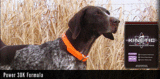  3-Amigos Nutrition Group LLC DBA/KINETIC PERFORMANCE DOG FOOD 10270 Spartan Drive, Suite S 