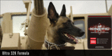 3-Amigos Nutrition Group LLC DBA/KINETIC PERFORMANCE DOG FOOD, Cincinnati