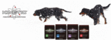 3-Amigos Nutrition Group LLC DBA/KINETIC PERFORMANCE DOG FOOD, Cincinnati