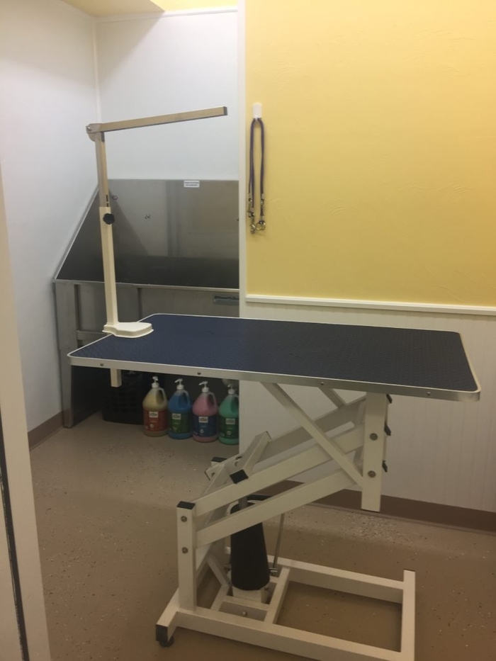   Little Paws Bed and Bath of Little Paws Bed and Bath, Inc 312 Wareham St - Photo 2 of 2