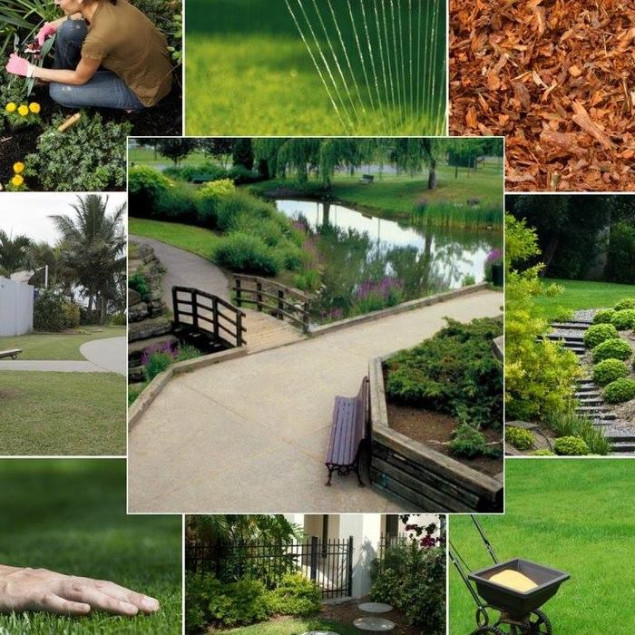  New Album of Blu's Southern Roots Landscape and Design Jacksonville, FL - Photo 1 of 1