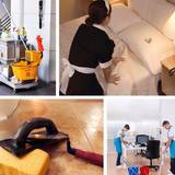 Giagens Cleaning Service, LLC, Ann Arbor