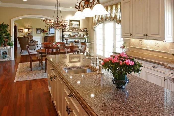 Forest Park Residence _ July 2012 Project. Special Thanks to Julie New Album of Granite Max 225 N. Arlington heights Rd. Suite #113 - Photo 2 of 5 Forest Park Residence _ July 2012 Project. Special Thanks to Julie New Album of Granite Max 225 N. Arlington heights Rd. Suite #113 - Photo 2 of 5