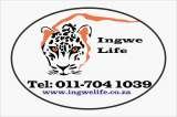 Ingwe Life, Olivedale