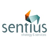 Top Consulting Firms in Melbourne - Sentius Strategy, Melbourne