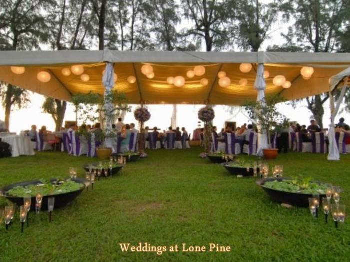  Profile Photos of Lone Pine Hotel 97 Batu Ferringhi - Photo 26 of 55