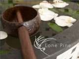  Lone Pine Hotel 97 Batu Ferringhi 