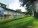  Lone Pine Hotel 97 Batu Ferringhi 
