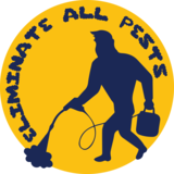 ELIMINATE ALL PESTS, BROOKLYN