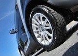 Action Gator Tire, Plantation