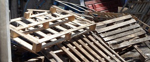  Profile Photos of Rubbish To Go 12 Scholars Rd. - Photo 2 of 11