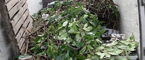  Profile Photos of Rubbish To Go 12 Scholars Rd. - Photo 7 of 11