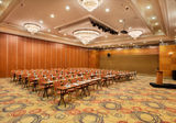 Meetings DoubleTree by Hilton Van Ipek Yolu Caddesi 8.km 