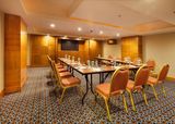 Meeting Room DoubleTree by Hilton Van Ipek Yolu Caddesi 8.km 