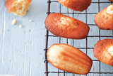 Madeleines, Macarons & More, Norwich
