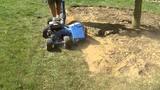  Just The Stump Serving around 