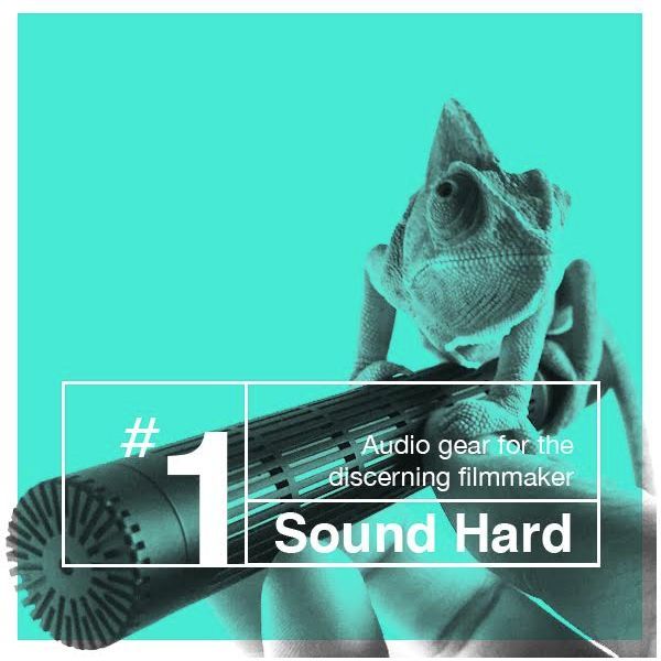  New Album of Sound Hard 651 Richard St #2B - Photo 3 of 4