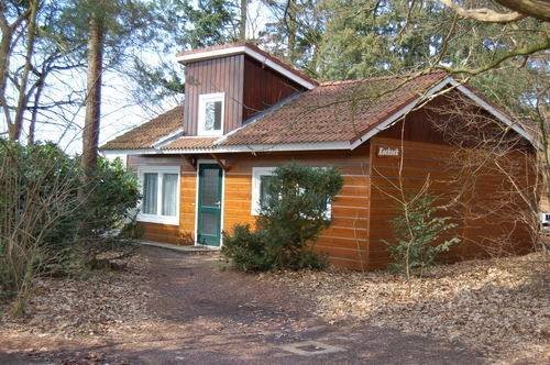  Profile Photos of Eekhoornnest Birkstraat 118 - Photo 2 of 6