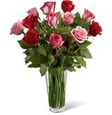 Same Day Flower Delivery NYC, New York