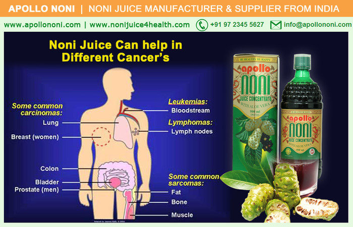 Noni and the Wonderful Benefits of This Super Fruit<br />
<br />
Noni, Juice, wonderful, benefits, benefit, super, fruit, noni juice, super fruit, noni fruit, noni juice benefit, noni juice benefits, noni health juice, health juice, healthy juice, herbal juice, die Noni-Juice-India-Products | Noni Benefits | Noni Juice Manufacturer and Suppliers of Noni Juice - Noni Drink Manufacturer, Exporter, Bulk Supplier from India 410, Venus Amadeus, Opp. Gold Coin Complex, Jodhpur Cross Road, Satellite - Photo 18 of 27 Noni and the Wonderful Benefits of This Super Fruit<br />
<br />
Noni, Juice, wonderful, benefits, benefit, super, fruit, noni juice, super fruit, noni fruit, noni juice benefit, noni juice benefits, noni health juice, health juice, healthy juice, herbal juice, die Noni-Juice-India-Products | Noni Benefits | Noni Juice Manufacturer and Suppliers of Noni Juice - Noni Drink Manufacturer, Exporter, Bulk Supplier from India 410, Venus Amadeus, Opp. Gold Coin Complex, Jodhpur Cross Road, Satellite - Photo 18 of 27