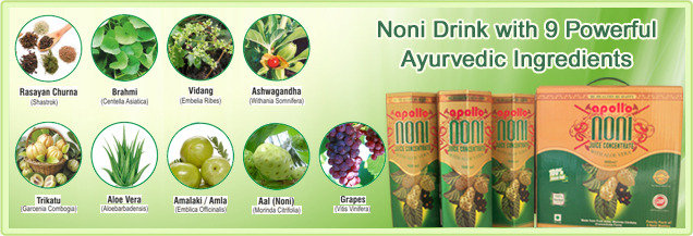 Noni Juice - The Nutritional Energy Drink<br />
<br />
Revitalizes the Cells, Restores Energy, Purifies Blood, Stimulates Immune System, Improves Digestion, Regulates Cell function, Effective Anti-Oxidant, Protects Toxins, <br />
Reduces cancer risk, cancer medicine, me Noni-Juice-India-Products | Noni Benefits | Noni Juice Manufacturer and Suppliers of Noni Juice - Noni Drink Manufacturer, Exporter, Bulk Supplier from India 410, Venus Amadeus, Opp. Gold Coin Complex, Jodhpur Cross Road, Satellite - Photo 16 of 27 Noni Juice - The Nutritional Energy Drink<br />
<br />
Revitalizes the Cells, Restores Energy, Purifies Blood, Stimulates Immune System, Improves Digestion, Regulates Cell function, Effective Anti-Oxidant, Protects Toxins, <br />
Reduces cancer risk, cancer medicine, me Noni-Juice-India-Products | Noni Benefits | Noni Juice Manufacturer and Suppliers of Noni Juice - Noni Drink Manufacturer, Exporter, Bulk Supplier from India 410, Venus Amadeus, Opp. Gold Coin Complex, Jodhpur Cross Road, Satellite - Photo 16 of 27