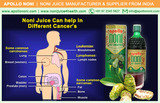 Noni and the Wonderful Benefits of This Super Fruit<br />
<br />
Noni, Juice, wonderful, benefits, benefit, super, fruit, noni juice, super fruit, noni fruit, noni juice benefit, noni juice benefits, noni health juice, health juice, healthy juice, herbal juice, die Noni Juice - Noni Drink Manufacturer, Exporter, Bulk Supplier from India 410, Venus Amadeus, Opp. Gold Coin Complex, Jodhpur Cross Road, Satellite 
