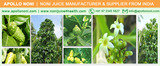  Noni Juice - Noni Drink Manufacturer, Exporter, Bulk Supplier from India 410, Venus Amadeus, Opp. Gold Coin Complex, Jodhpur Cross Road, Satellite 