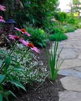 Landscape Ecology, Murrieta