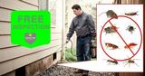 Pacific NW Pest Control, Vancouver