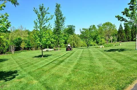  New Album of R & S Lawn Service 754 Scotland Avenue Ext - Photo 2 of 5