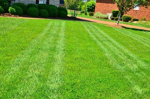  New Album of R & S Lawn Service 754 Scotland Avenue Ext - Photo 5 of 5