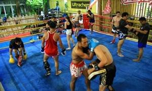  Profile Photos of Muay Thai Thailand Tours 1099 11 Palm Pavilion - Photo 9 of 10