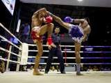  Muay Thai Thailand Tours 1099 11 Palm Pavilion 