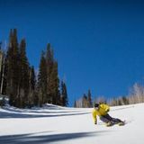 Cole Sport, Park City