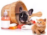 Professional Pet Grooming Salon, Yonkers