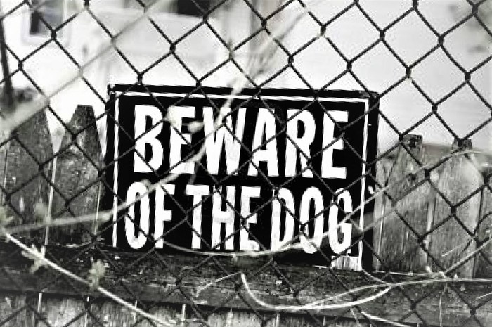  New Jersey Dog Bite Lawyer of Law Office of David J. Cowhey 650 New Rd #A - Photo 1 of 5
