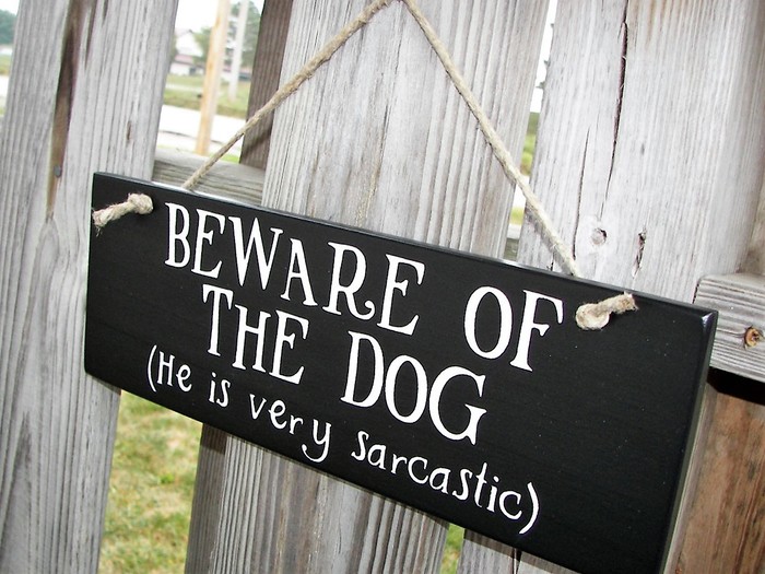 NJ Dog Bite Law New Jersey Dog Bite Lawyer of Law Office of David J. Cowhey 650 New Rd #A - Photo 5 of 5