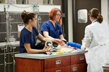  Central Texas Veterinary Specialty & Emergency Hospital 301 Chisholm Trail 