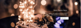 Purrple Orryx - Event Management Agency Dubai, Dubai