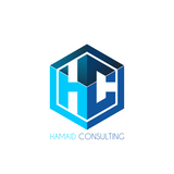  HAMAID Consulting - Digital Marketing Consultant 899 Soft Wind Rd 