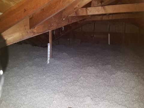 Profile Photos of Sustainergy Cooperative 605 burns st - Photo 3 of 4