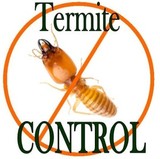 Termite Control Authority, Bartlesville