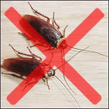  Profile Photos of Cockroach Control Guys 101 Arch Street - Photo 1 of 1
