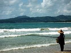 Bangtao Beach Profile Photos of English TEFL Phuket, Thailand 110/44 Moo 3, Cherngtalay Road, Bangtao Beach, - Photo 4 of 7