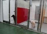 Profile Photos of DUKE BOARDING KENNELS MANCHESTER