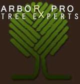 Arbor-Pro Tree Experts, Lakewood