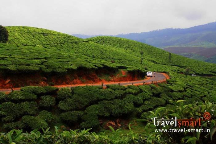 Plan My Travel New Album of Travel-Smart No.1402, Ground Floor, 32nd Cross, 11th main road, 4th Block East, Jayanagar - Photo 5 of 5